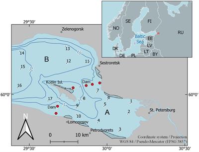 Patterns of the relationship between the Secchi disk depth and the optical characteristics of water in the Neva Estuary (Baltic Sea): the influence of environmental variables